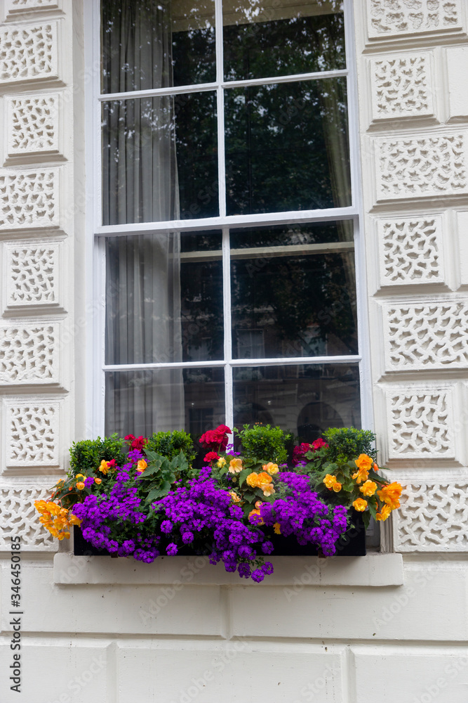 london traditional window with flowers