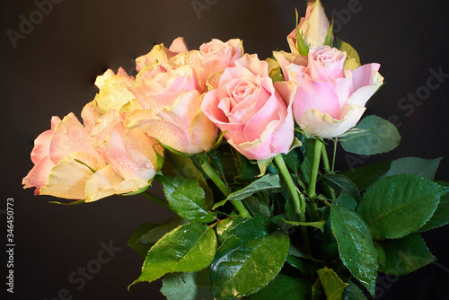 A bouquet of wonderfully beautiful tea roses