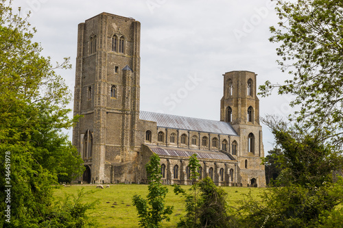 Wymondham Abbey between the trees photo