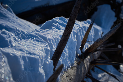 The fallen trunk of an old tree in winter scenery, covered with fresh down