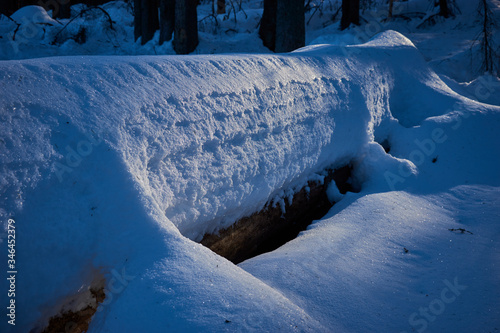 The fallen trunk of an old tree in winter scenery, covered with fresh down
