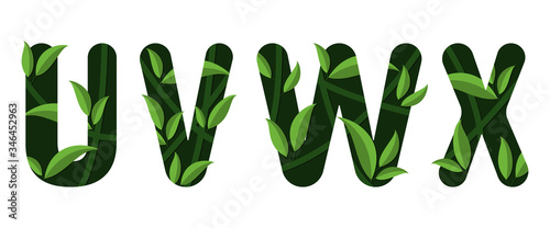 Letters U V W X of the alphabet. Leaf design.