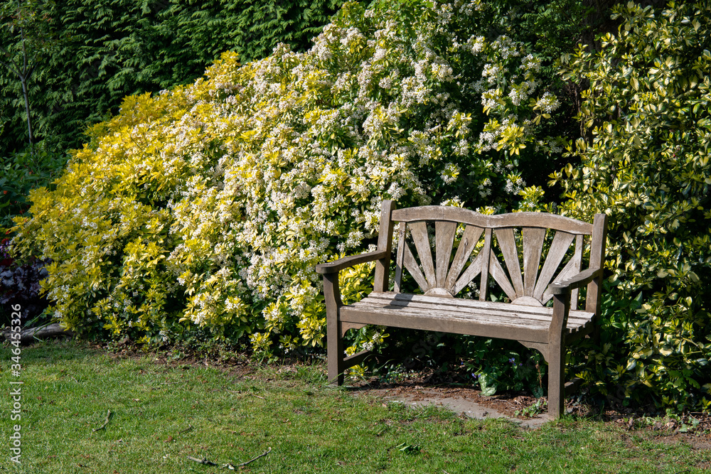 old empty bench in the garden old empty bench in the garden
