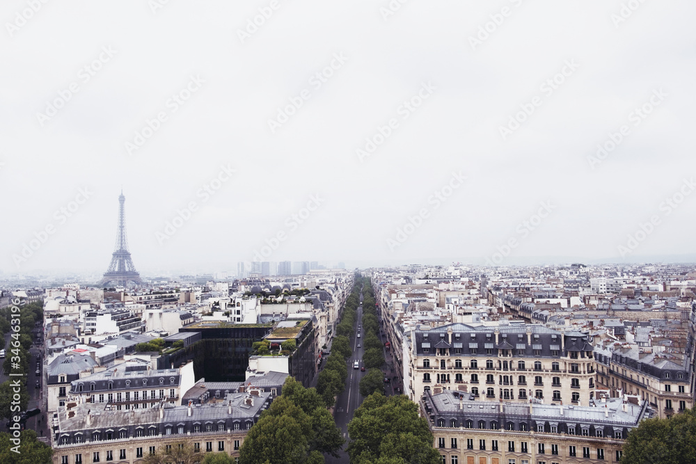 Obraz premium Beautiful view of Paris city with Eiffel Tower and typical parisian architecture.