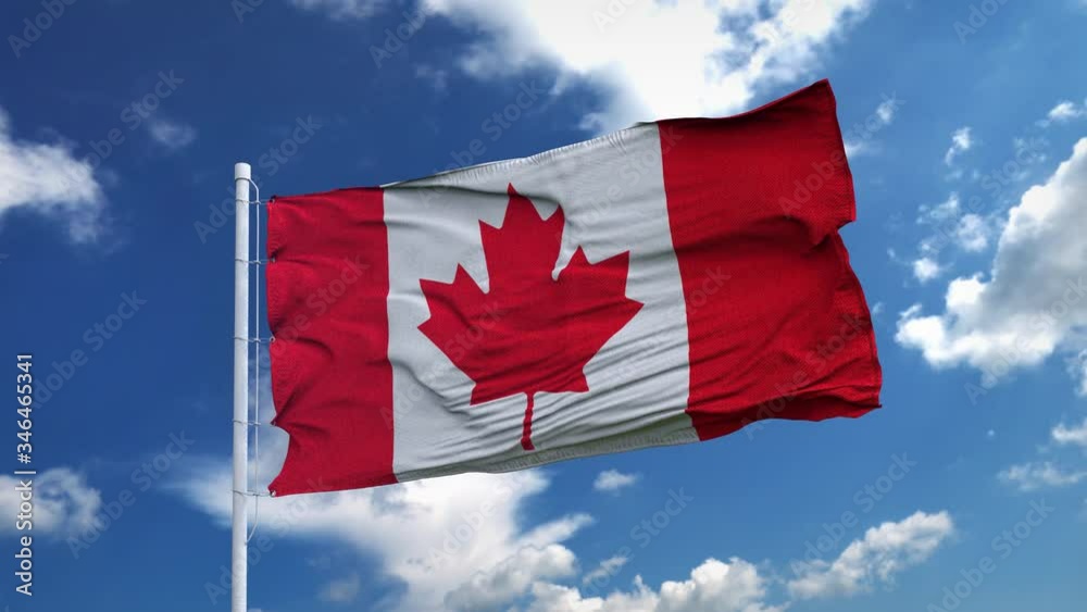 Realistic flag of Canada waving in the wind against deep blue sky. Seamless looping with highly detailed fabric texture, 4k resolution Realistic flag of Canada waving in the wind against deep blue sky. Seamless looping with highly detailed fabric texture, 4k resolution