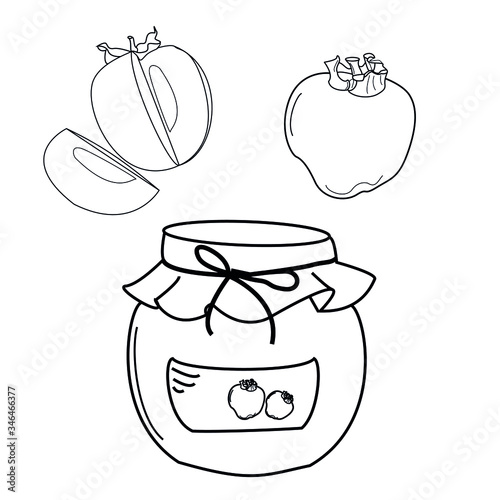 persimmon outline vector illustration, fruit and jam