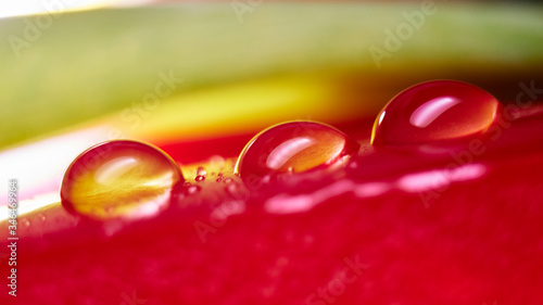 Drops of water on a blurred background create a magical world
