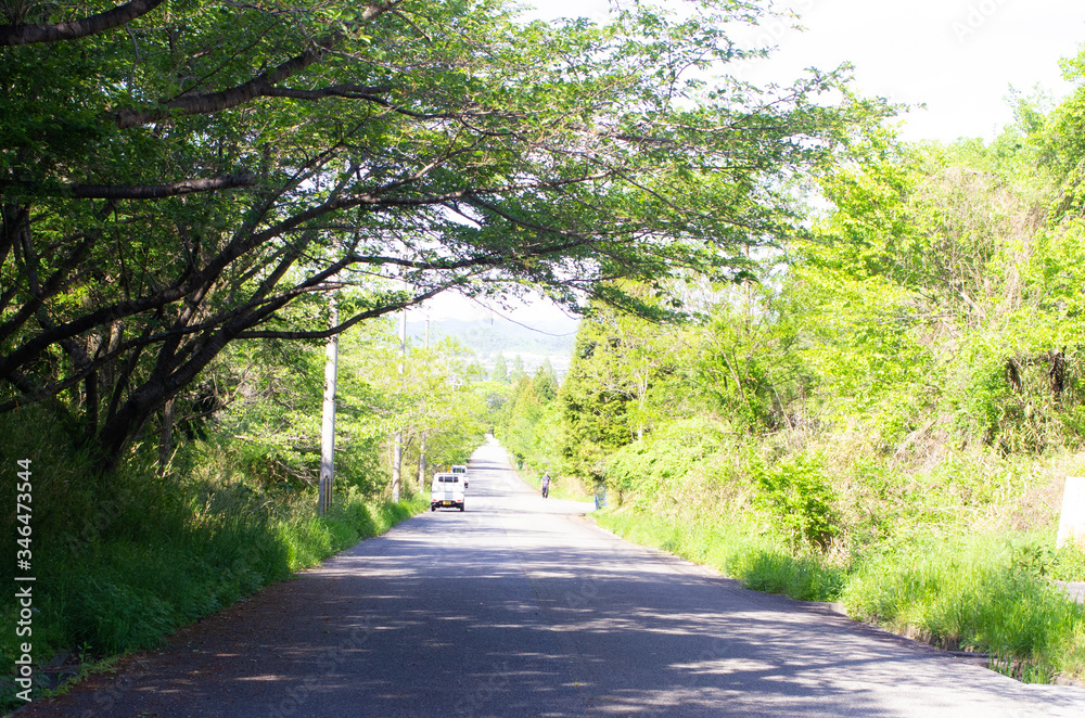 Fototapeta premium 道