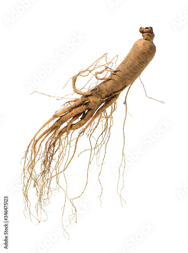 ginseng isolated on white background