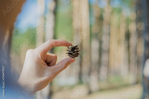 fir cone in hand on the background of the lake