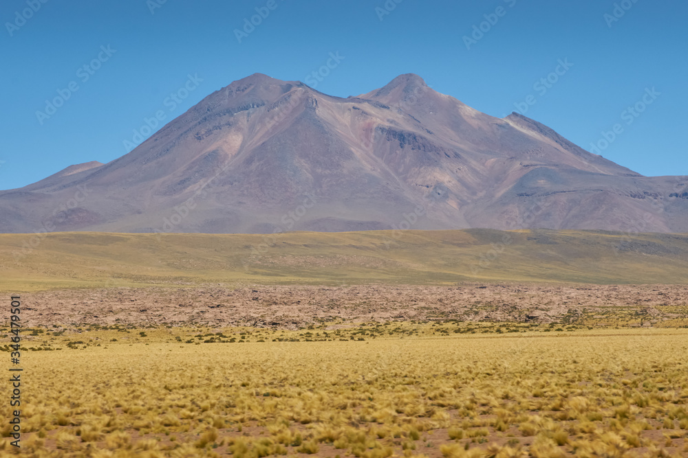 Surroundings and way to Red Rock. Flamingos National Reserve Conaf. San Pedro de Atacama, Antofagasta - Chile. Desert. Andes Range & Route 23. Surroundings and way to Red Rock. Flamingos National Reserve Conaf. San Pedro de Atacama, Antofagasta - Chile. Desert. Andes Range & Route 23.