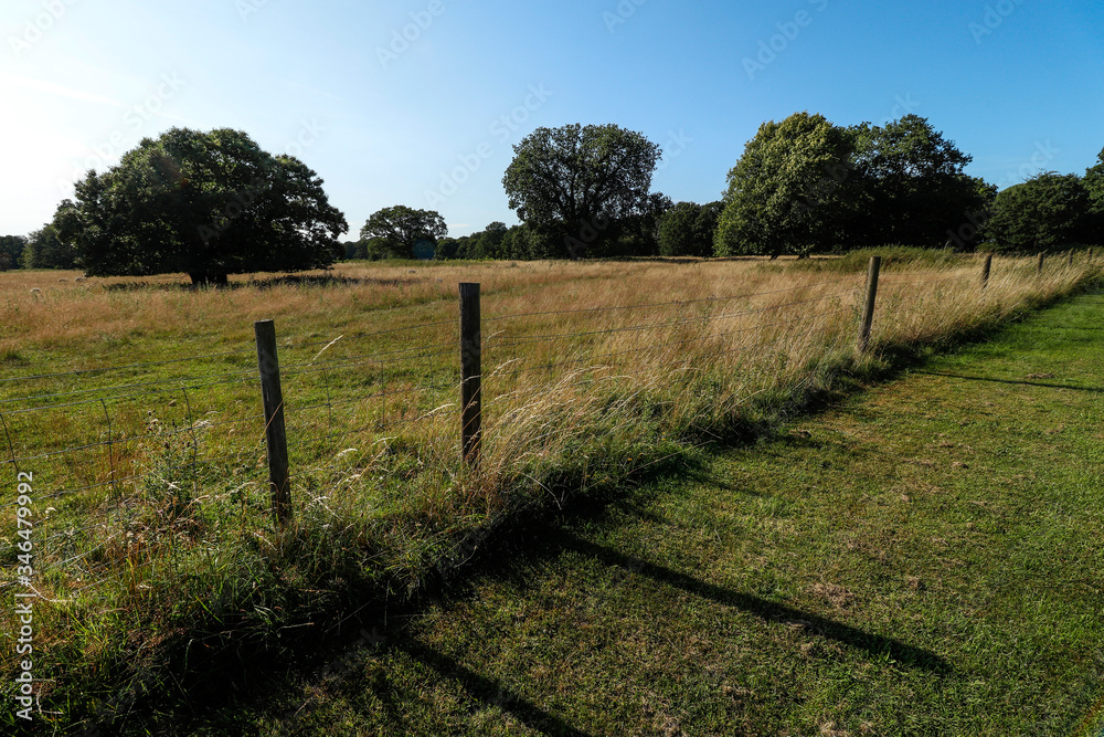 rural landscape with fence