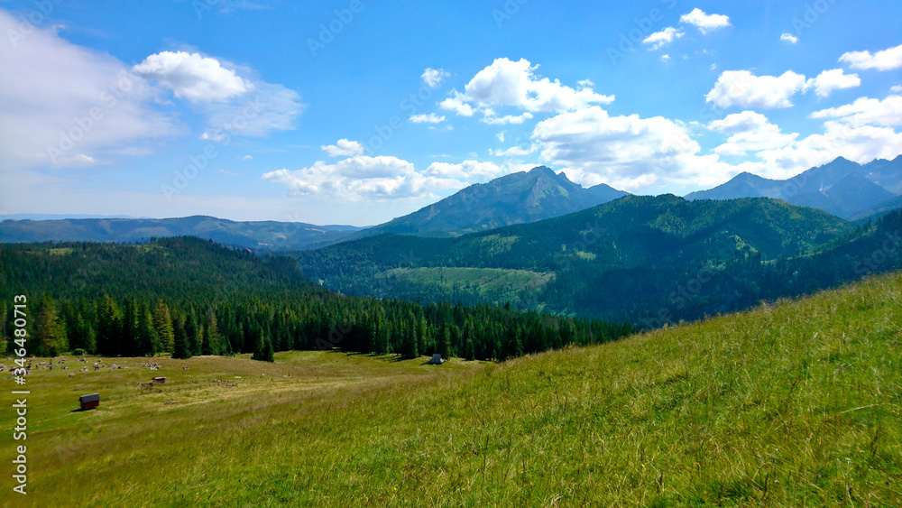 Mountains, green clearing and forest
