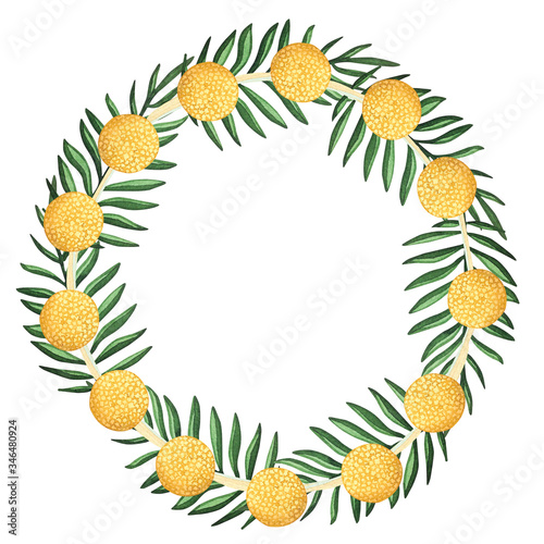 Hand-drawn watercolor wreath of fern and craspedia. Isolated on white background. Bright summer round frame with palm leaves. 