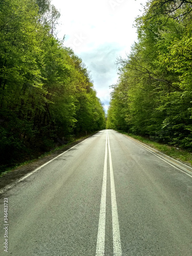 Droga asfaltowa w lesie © Krzysztof