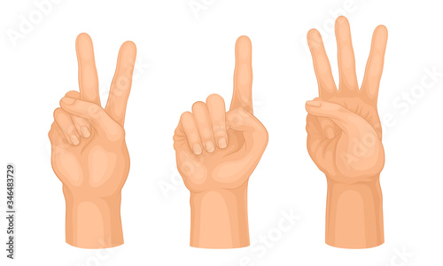 Hands Making Different Gestures and Signs Isolated on White Background Vector Set
