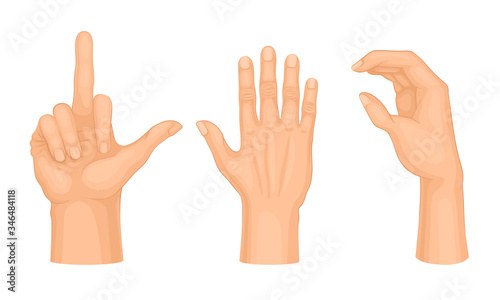Hands Making Different Gestures and Signs Isolated on White Background Vector Set