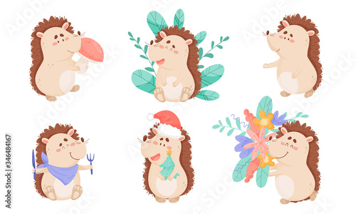 Cartoon Hedgehog Character Holding Mushroom and Flowers Vector Set