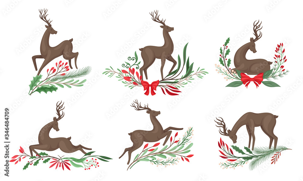 Brown Deer with Antlers and Winter Twigs and Flower Composition Beneath It Vector Set Brown Deer with Antlers and Winter Twigs and Flower Composition Beneath It Vector Set