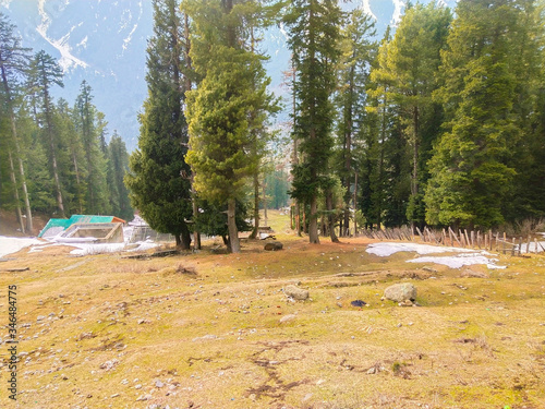 Winter landscape with deodar trees,snow Coverd mountains and sky  photo