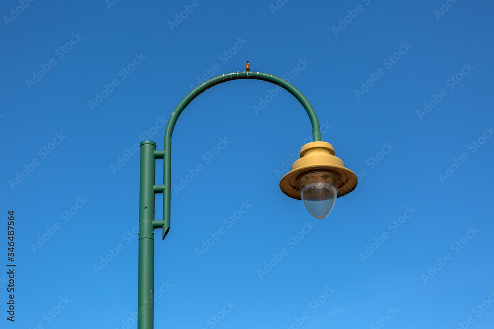 Detailed view of a modern electric public street lampposts with a little bird Detailed view of a modern electric public street lampposts with a little bird