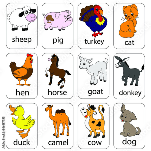 Painted colorful animals. Sheep, pig, turkey, cat, chicken, horse, goat, donkey, duck, camel, cow and dog.