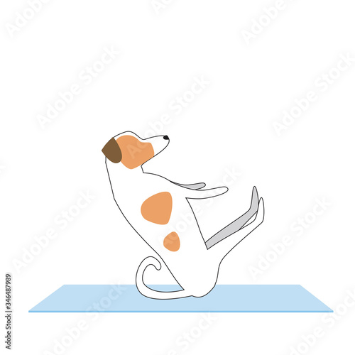Cute character Jack Russell Terrier doing yoga on a mat, flat or outline vector stock illustration with a dog performing asana isolated on white background