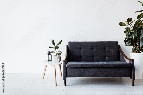modern sofa near coffee table with plants, vintage lamp and head figurine in living room