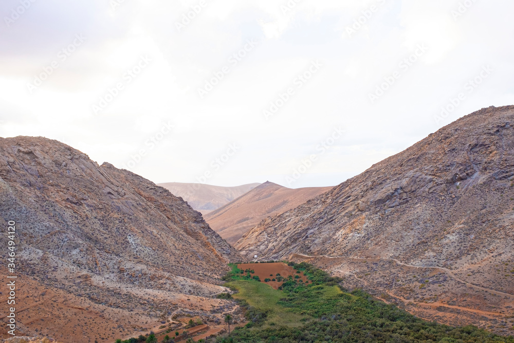 Landschaft, Oase, Natur, Fuerteventura, Vega de Río Palmas, Betancuria, Spanien, Palmental, Tal, Gebirge, Roadtrip, Urlaub