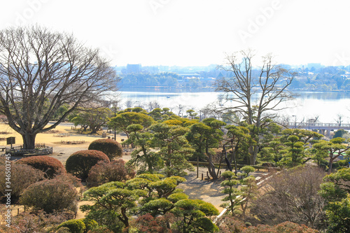 水戸偕楽園 好文亭から見た景色 photo