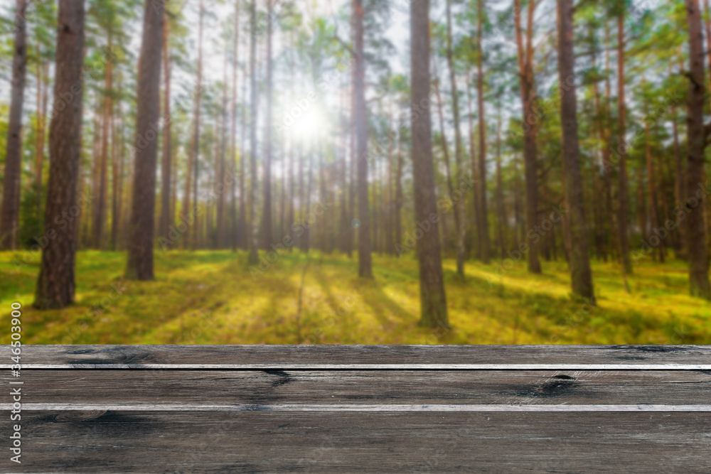 Empty table and forest blurred background. Old wooden brown table. Empty table and forest blurred background. Old wooden brown table.