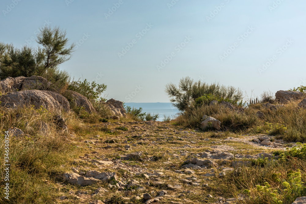 Makarska in Dalmatia, Croatia. View from the peninsula on a sunny day in summer with a blue sky. Rough nature, a path with greenery and rocks guiding to the sea at the Mediterranean coast
