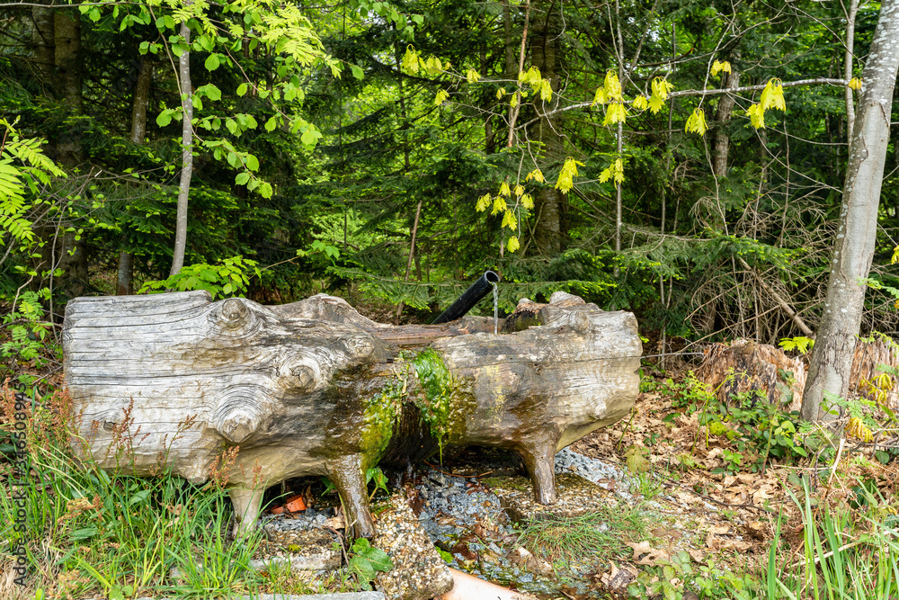BODENMAIS AKTIVZENTRUM IM BAYERISCHEN WALD visual data 2