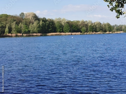 Natur  See  Bäume  Weiher  Schilf  Enten  Donau  Grün  Frühling  Baggersee  © Andy