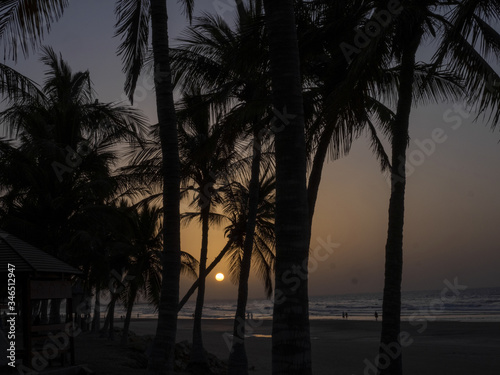 Sunset into the sea among palm trees, Oman