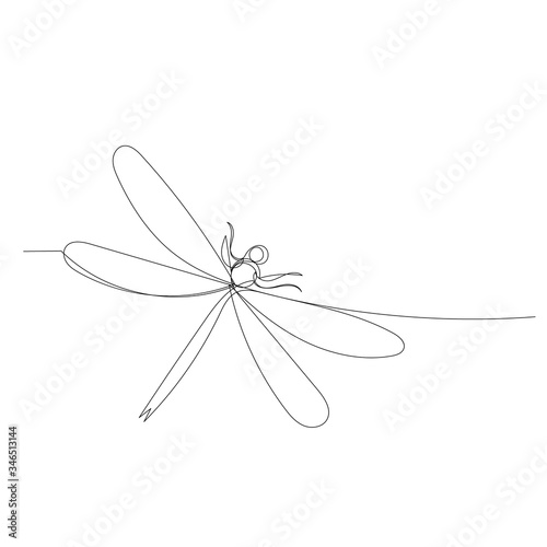 dragonfly continuous line drawing, sketch