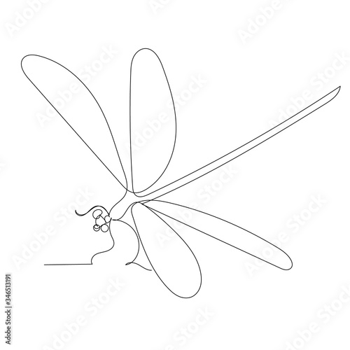 vector, white background, dragonfly continuous line drawing, outline