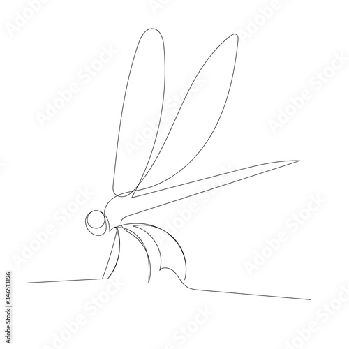vector, white background, dragonfly continuous line drawing, outline