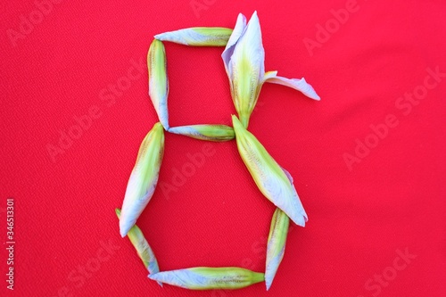 Obraz na płótnie Number 8 written by fresh iris flowers on a red background. Number eight written in fresh flowers isolated on red. w salonie