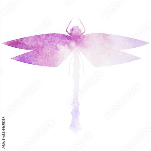  white background, watercolor silhouette lilac dragonfly, insect © zolotons
