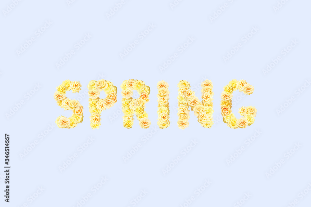 Spring sign on light blue background. Word spring made from light pink and yellow roses, poster, banner, background with romantic concept Spring sign on light blue background. Word spring made from light pink and yellow roses, poster, banner, background with romantic concept
