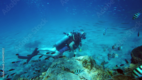 scuba diver underwater  © iwaart