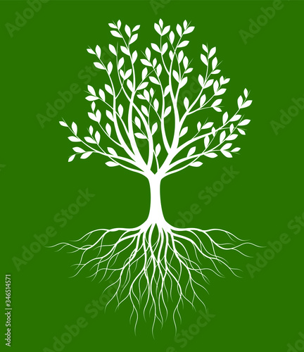 White Tree with Leaves on green background. Vector outline Illustration. Plant in Garden.