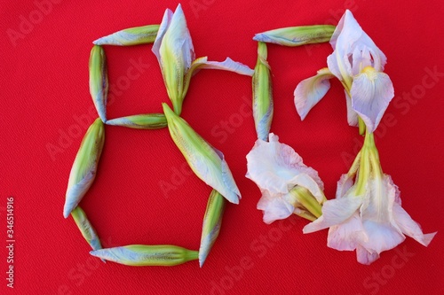 Number 80 written by fresh iris flowers on a red background. Number 
eighty written in fresh flowers isolated on red. 