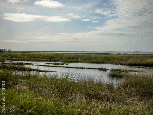 bright landscape with lake shore  flooded lake meadows  first spring greenery  wallpaper