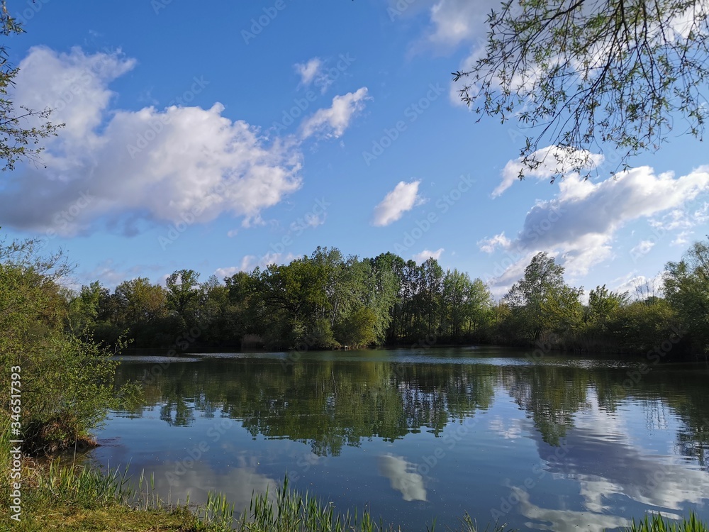 Natur; Landschaft; Blumen; Bäume; See; Weiher; Himmel; Natur; Landschaft; Blumen; Bäume; See; Weiher; Himmel;
