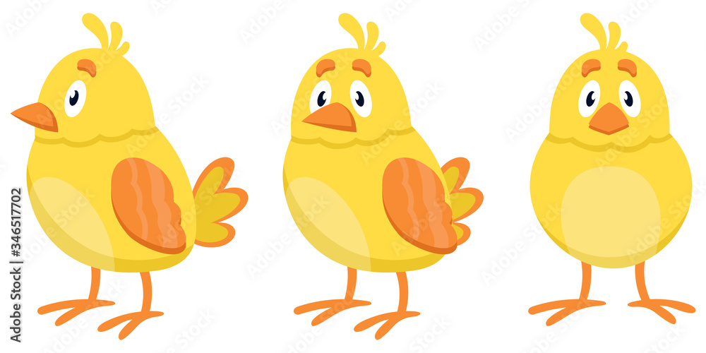 Chick in different poses. Farm animal in cartoon style.