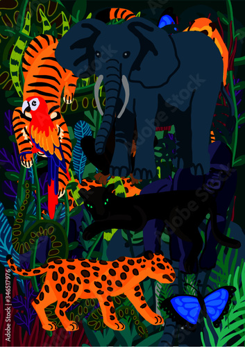 jungle animals and plants illustration