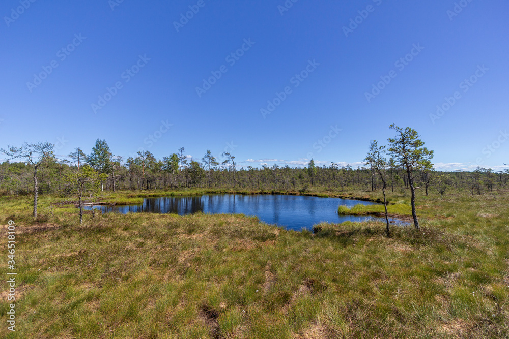 Small lake surrounded by grassland and forest in Sweden