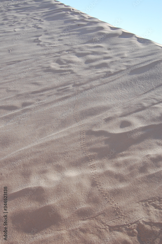 Obraz premium sand dunes in the sahara desert in africa